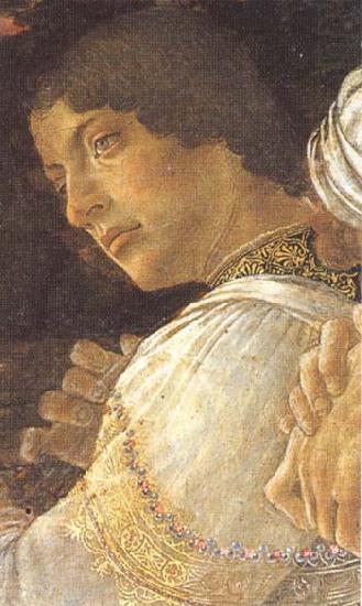 Young kneeling mago, Sandro Botticelli